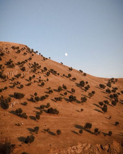 pexels-gullllsa-27867706